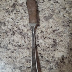 Pre-owned Vintage Tudor plate Oneida community made butter spreader